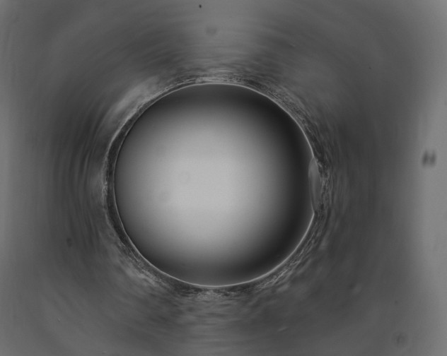 X0000091560290200708241822