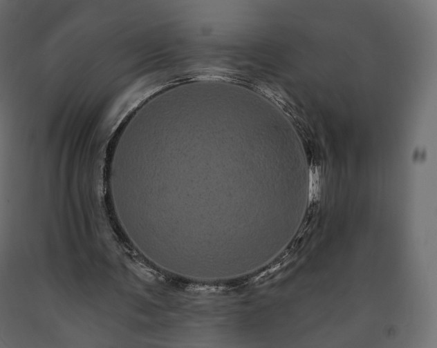 X0000091560291200708241822