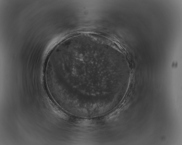 X0000091560293200708241822