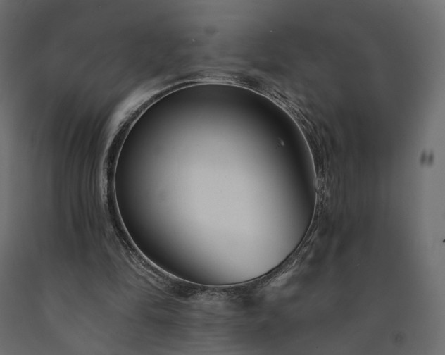 X0000091560294200708241822