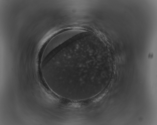 X0000091560295200708241822