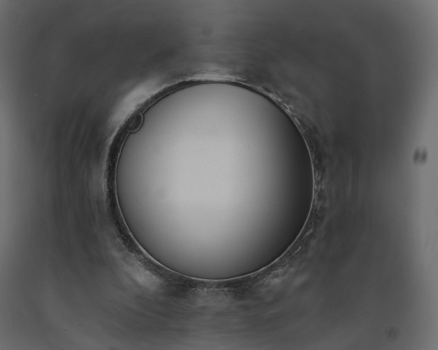 X0000091560296200708241822