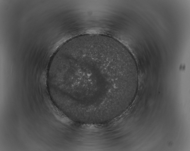 X0000091560297200708241822