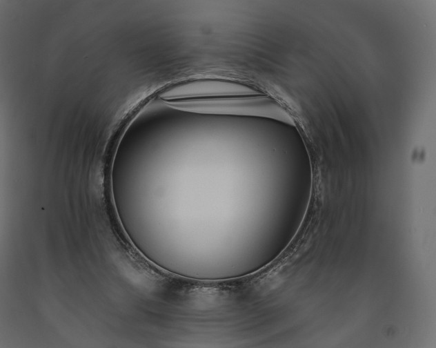 X0000091560298200708241822