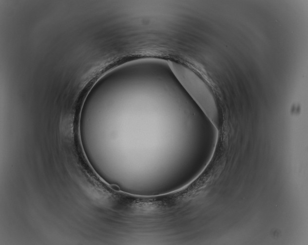 X0000091560299200708241821