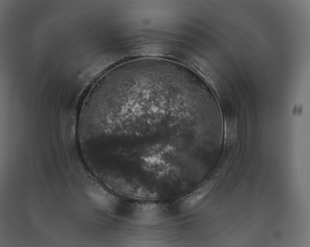 X0000091560301200708241821