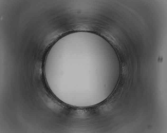 X0000091560302200708241821