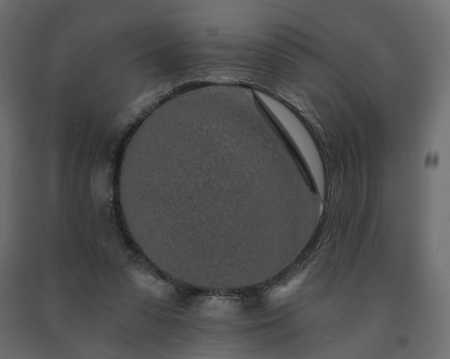 X0000091560303200708241821