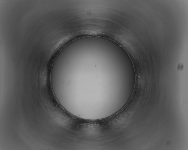 X0000091560304200708241821