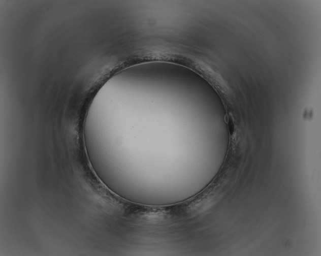 X0000091560306200708241821