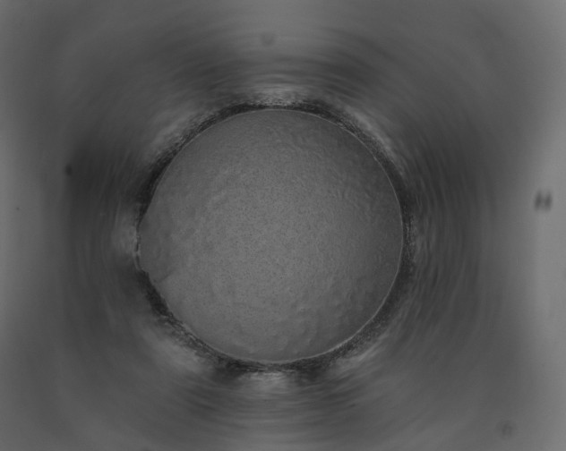 X0000091560307200708241821