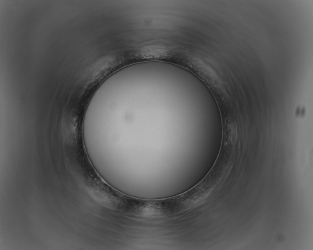 X0000091560308200708241821