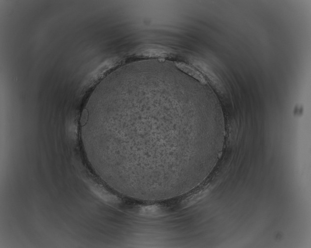 X0000091560309200708241821