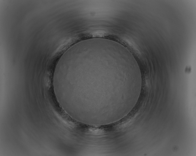 X0000091560311200708241821