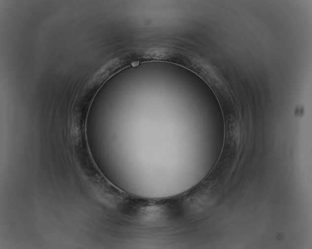 X0000091560312200708241821