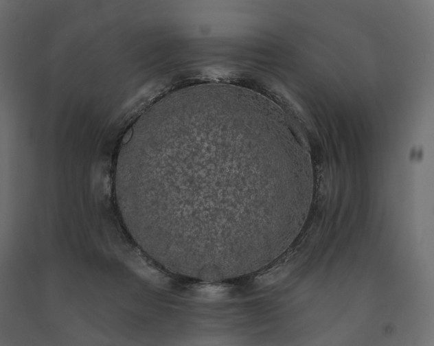 X0000091560313200708241821