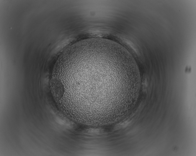 X0000091560314200708241821