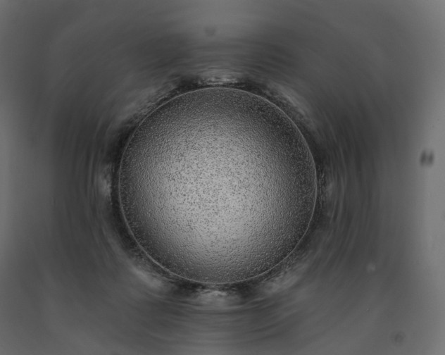 X0000091560315200708241821