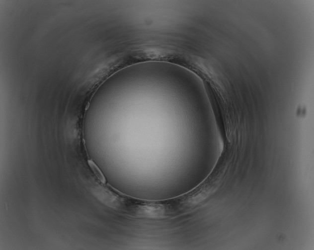 X0000091560317200708241821