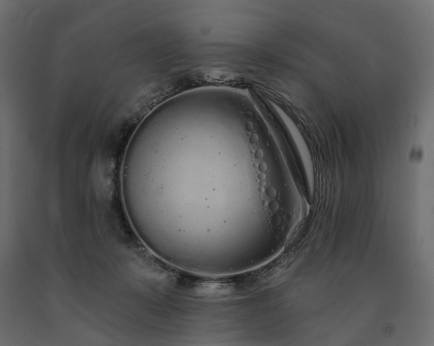 X0000091560319200708241821