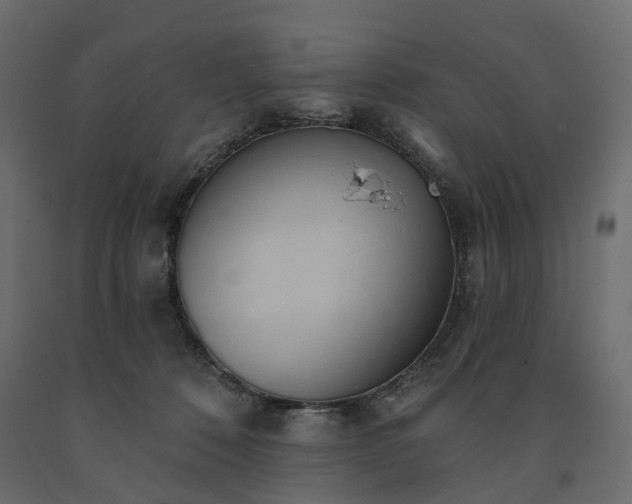 X0000091560320200708241821