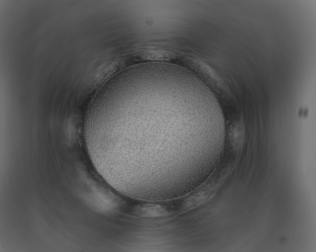 X0000091560322200708241821