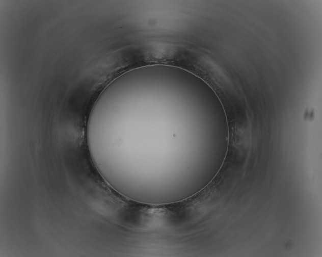 X0000091560324200708241821