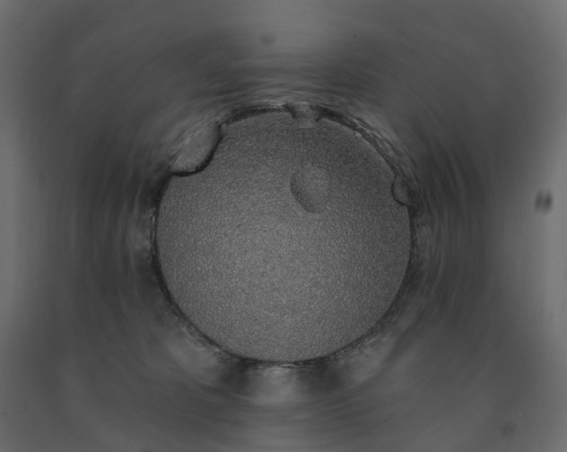 X0000091560325200708241821