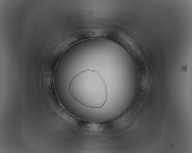 X0000091560326200708241821