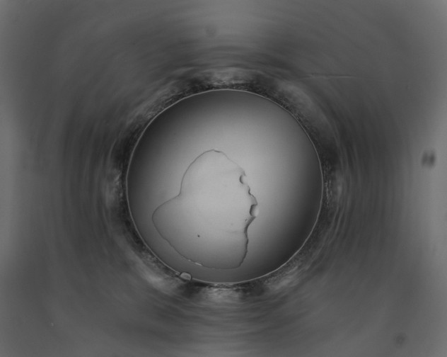 X0000091560327200708241821