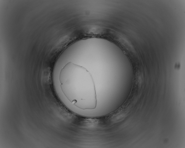 X0000091560328200708241821