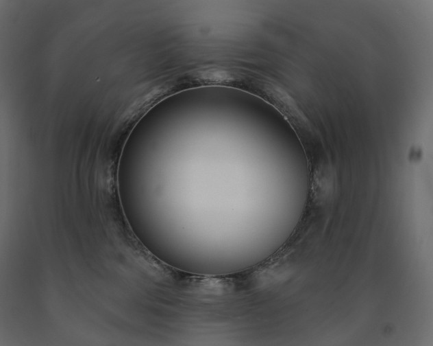 X0000091560330200708241821