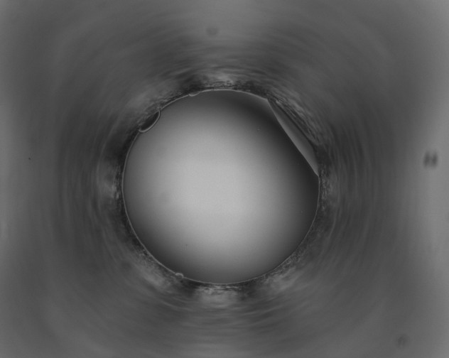 X0000091560331200708241821