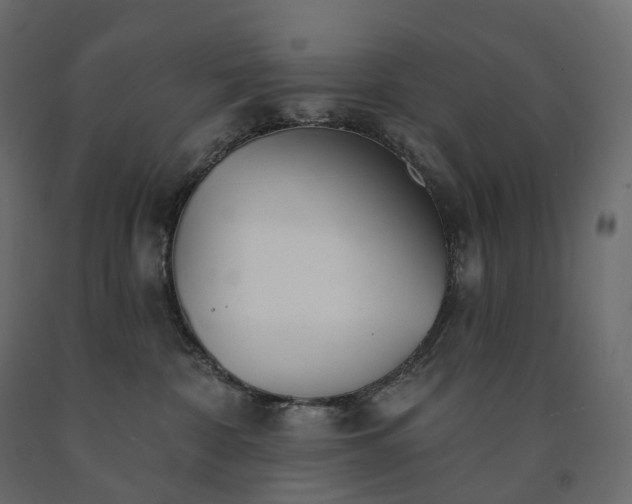 X0000091560332200708241821