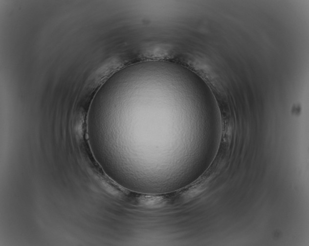 X0000091560334200708241821