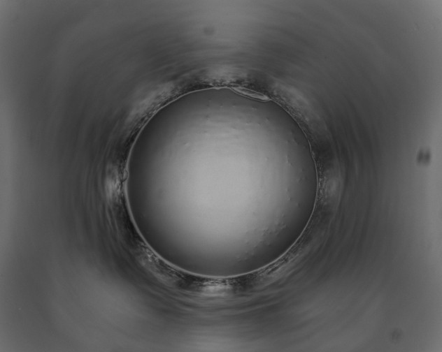 X0000091560335200708241821