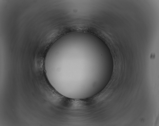 X0000091560336200708241821