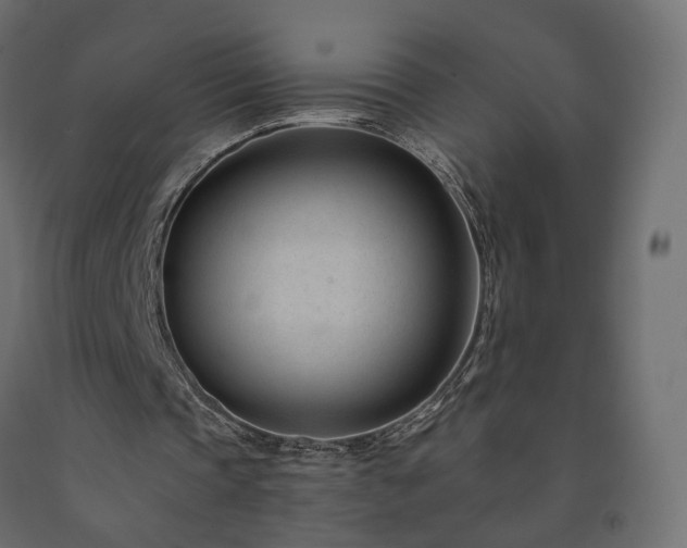 X0000091560337200708241820