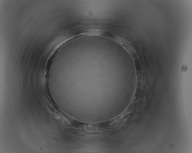 X0000091560338200708241820