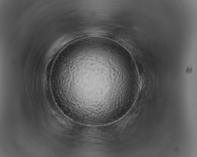 X0000091560339200708241820