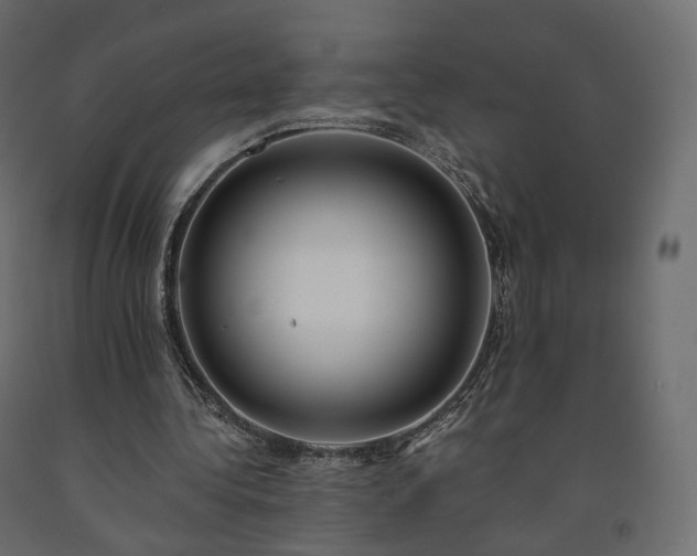 X0000091560340200708241820