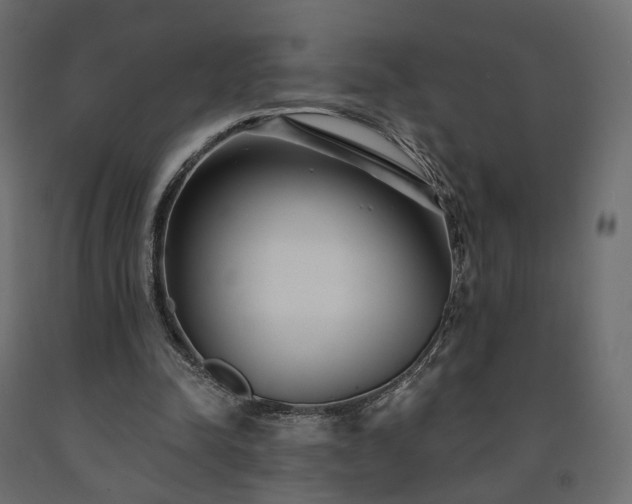 X0000091560342200708241820