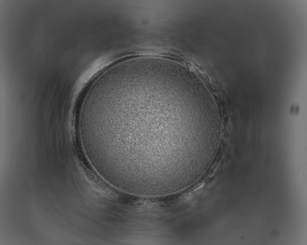 X0000091560343200708241820