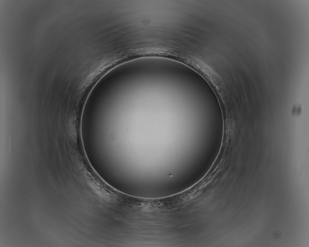 X0000091560345200708241820