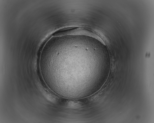 X0000091560346200708241820