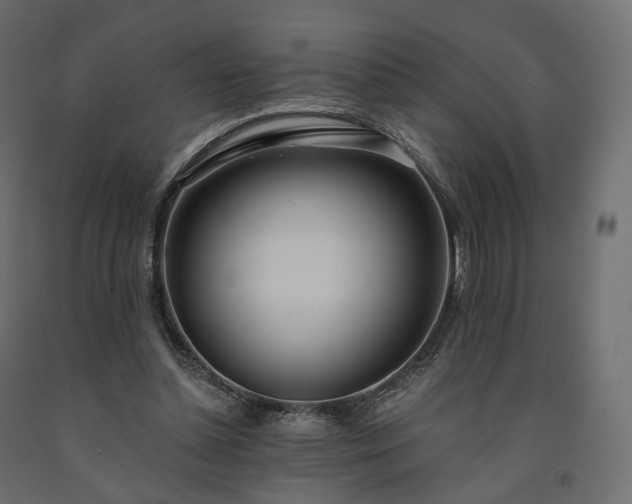 X0000091560348200708241820