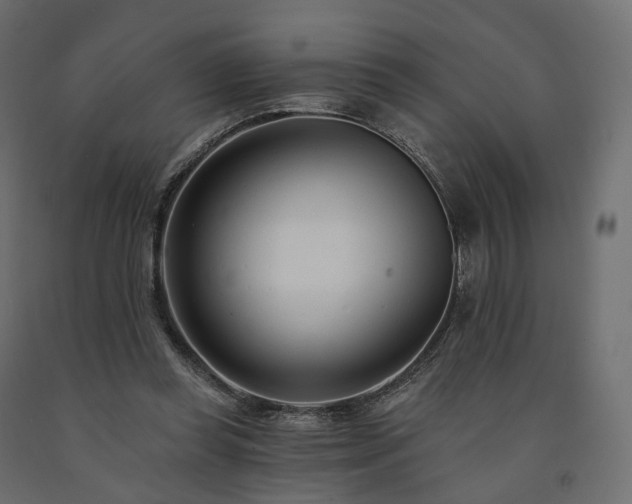 X0000091560349200708241820