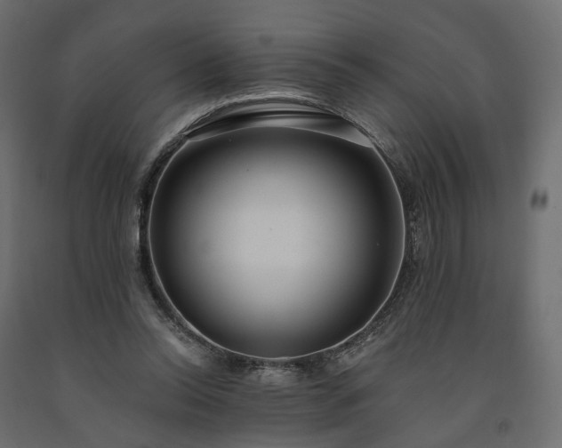 X0000091560350200708241820