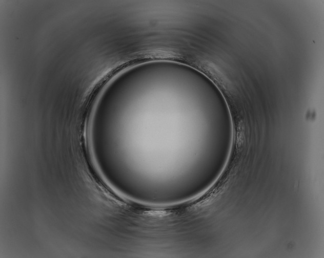 X0000091560351200708241820