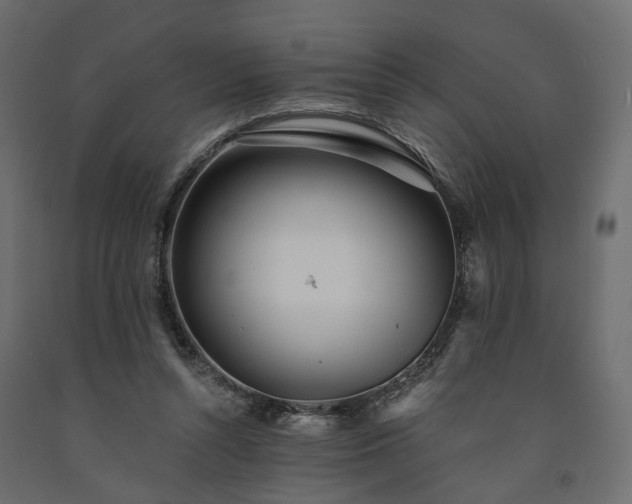 X0000091560352200708241820